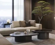 В ритме камня и ветра