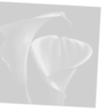 Inspiration for creating the bed Vida Classic