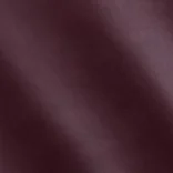 Blackberry_(А) Blackberry_(А)