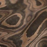 Walnut Root Walnut Root