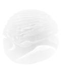 Вдохновение природными формами