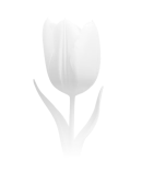 The embodiment of spring beauty and lightness