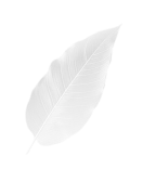 Природная гармония в банкетке Balance