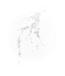 Inspiration for the Coppelia table