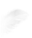 Вдохновение при создании дивана Harmonia