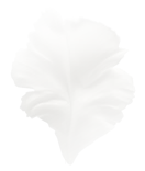 Вдохновение в названии столика