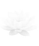 Inspired by the lotus