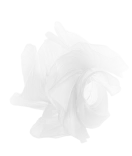 Inspired by the light