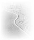 Inspiration for the Petal desk