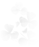 Inspiration behind the Shamrock table