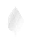 The story of creation and inspiration